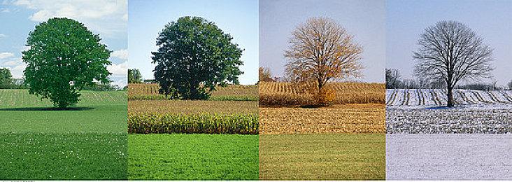 《GT赛车7》PSVR2版细节公布 支持网络对战功能